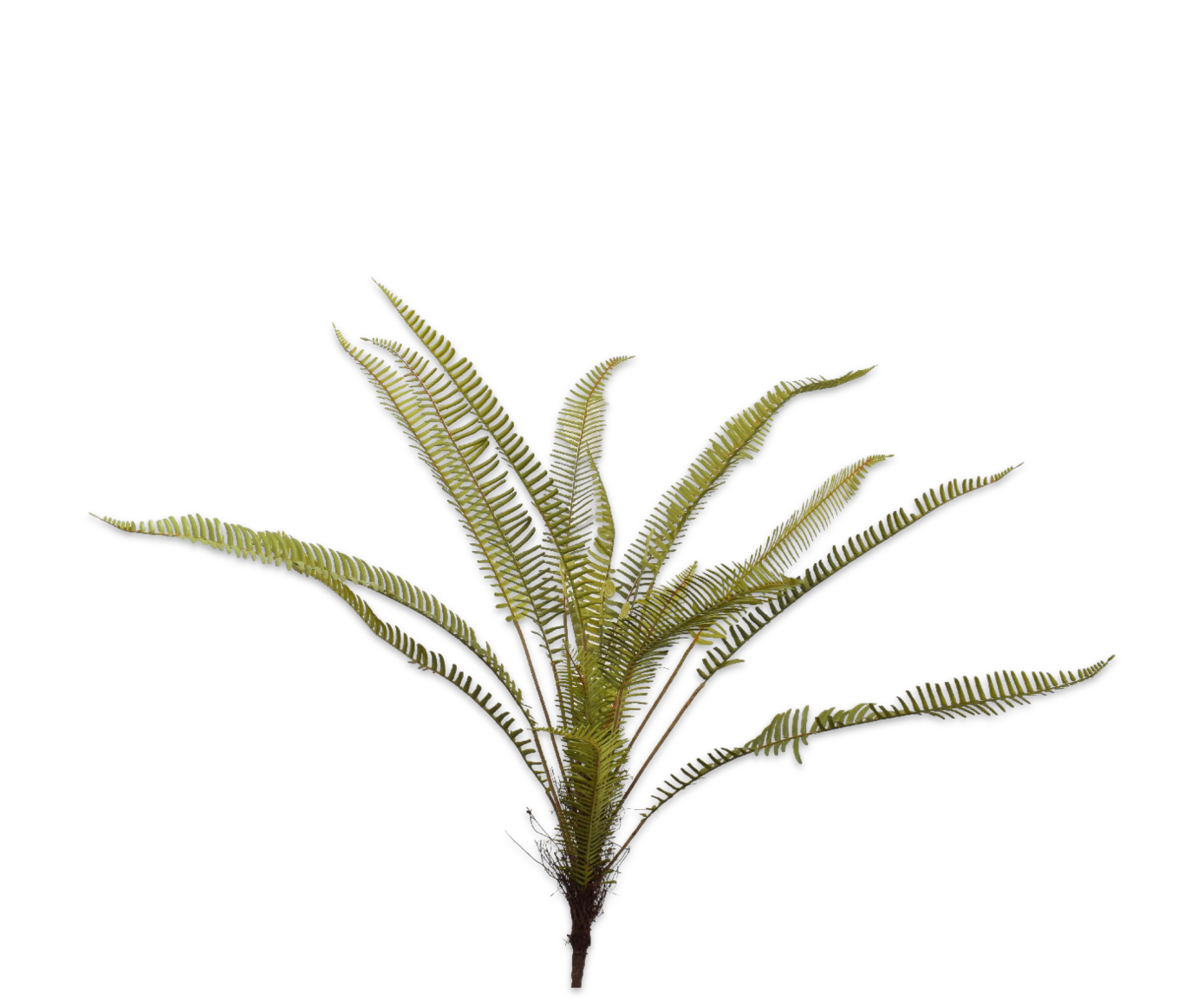 Varen Bush 96cm (Groen)