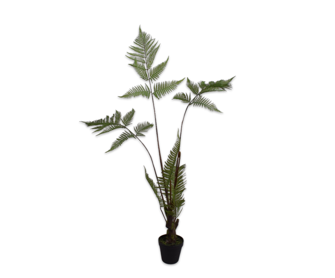 Varen in Pot 121cm (Groen)