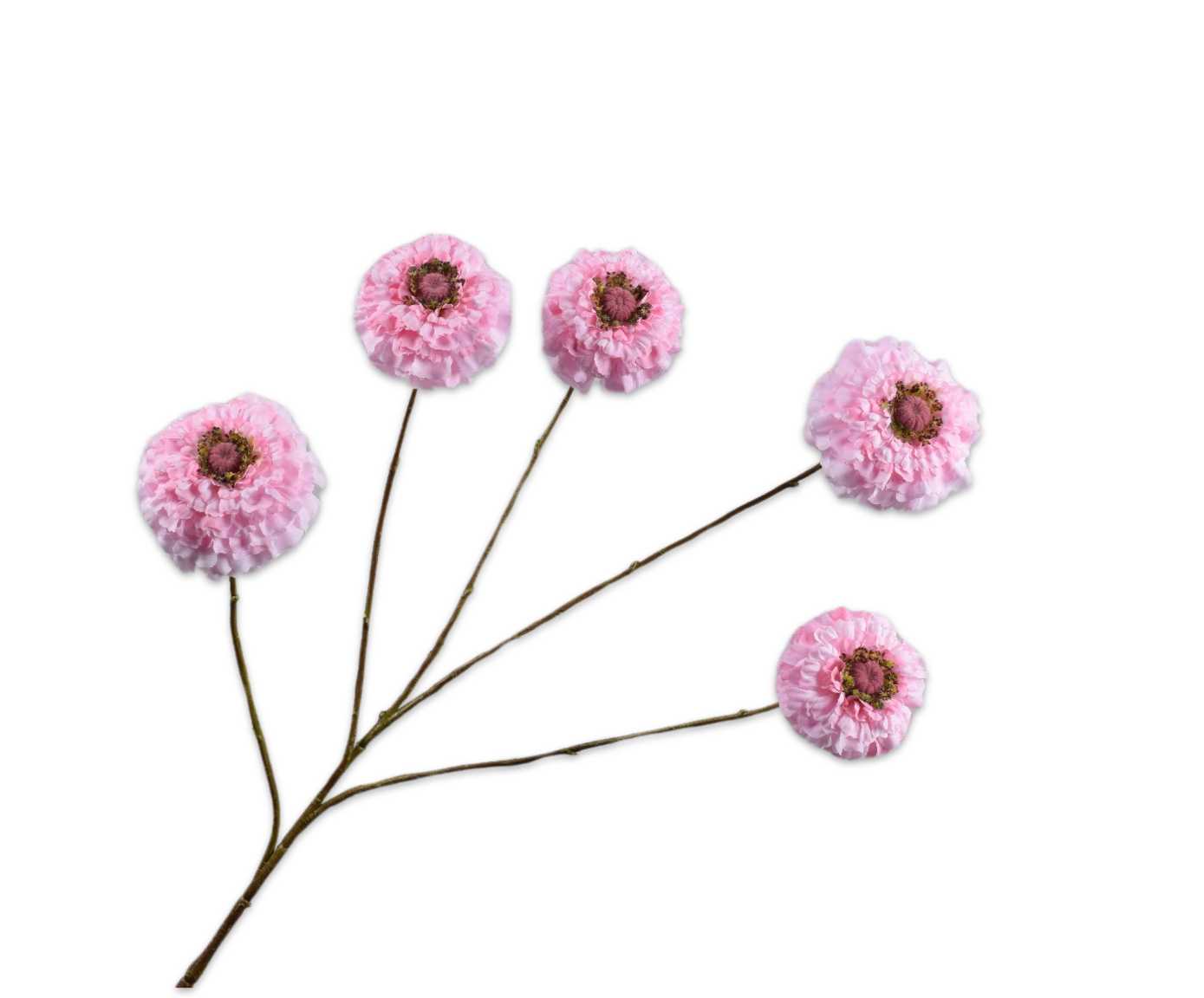 Zinnia Tak 91cm (Roze)