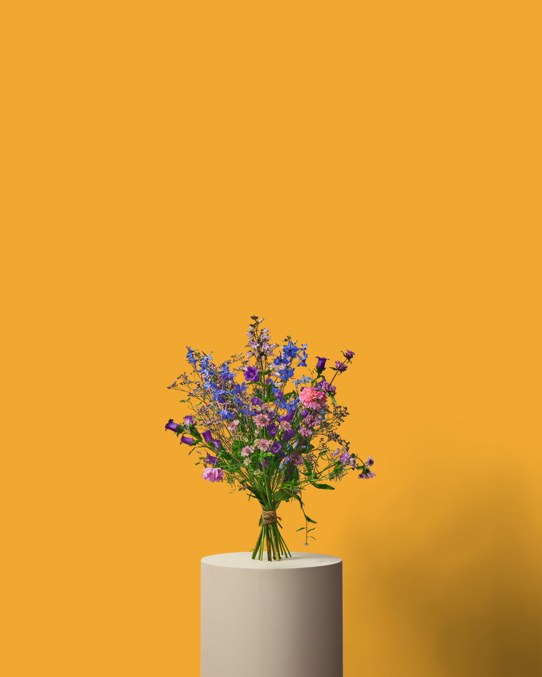 Bloom Baby Bloom!