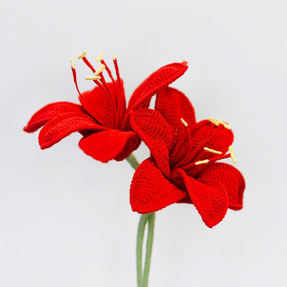 Gehaakte Bloem Amaryllis (Red)